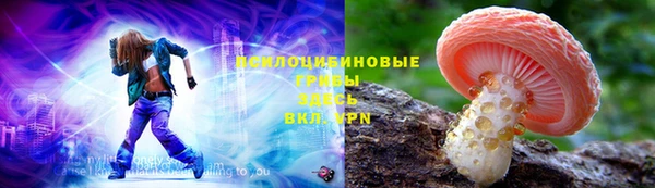 ГАЛЛЮЦИНОГЕННЫЕ ГРИБЫ Пестово