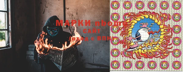 прущие грибы Переславль-Залесский